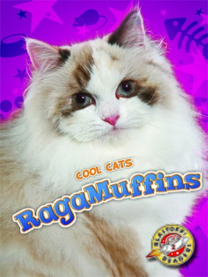 cover image of RagaMuffins